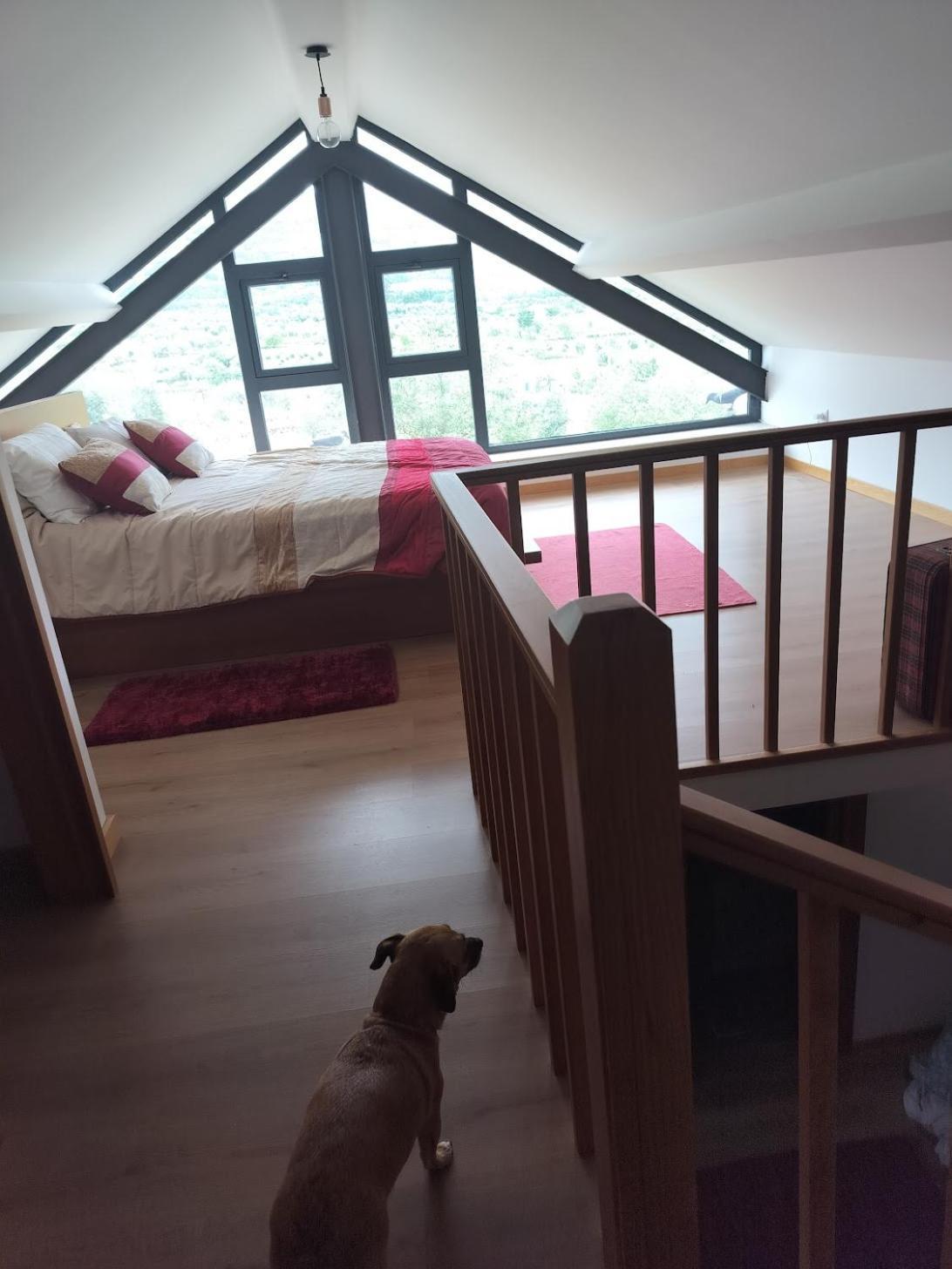 Arpuro Villa Gouveia  Kültér fotó