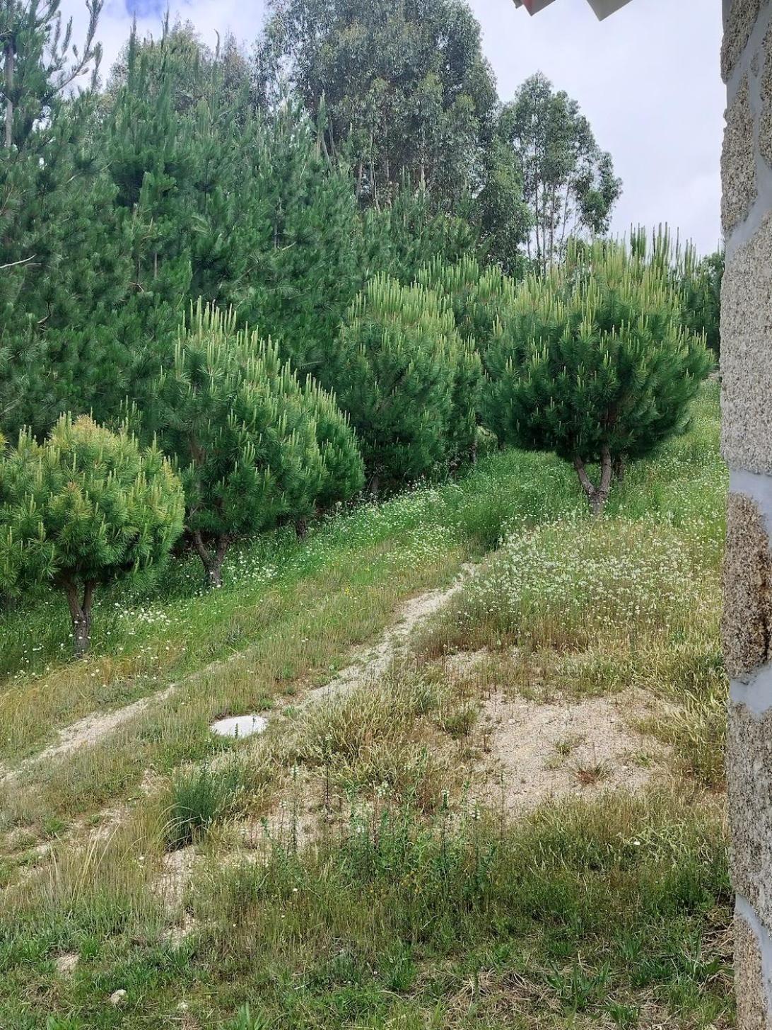 Arpuro Villa Gouveia  Kültér fotó