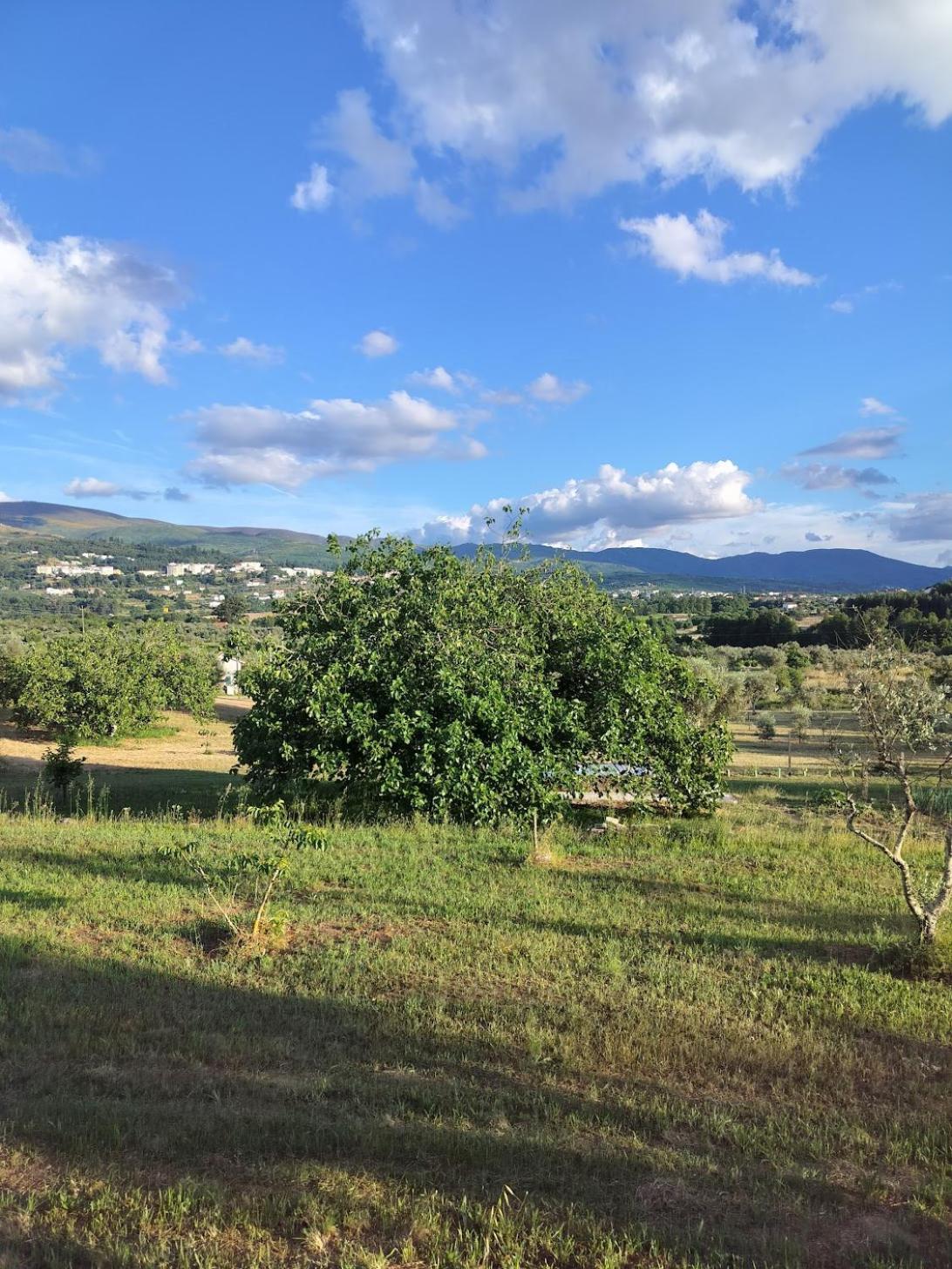 Arpuro Villa Gouveia  Kültér fotó